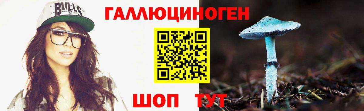 Рассказово  Псилоцибиновые грибы ЛСД  Вход с VPN  Псилоцибиновые грибы Magic Shrooms 
